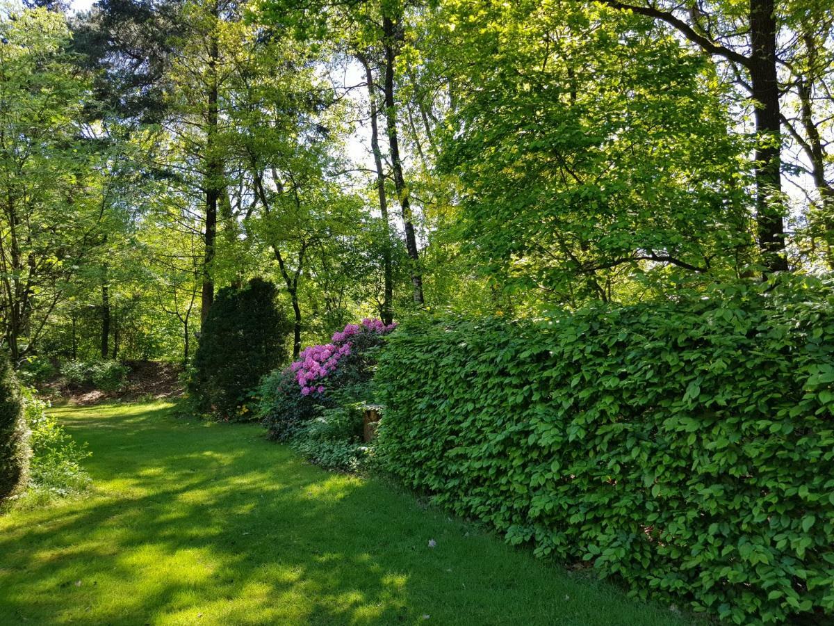 Knusse Bungalow Otterlo Veluwe Buitenkant foto
