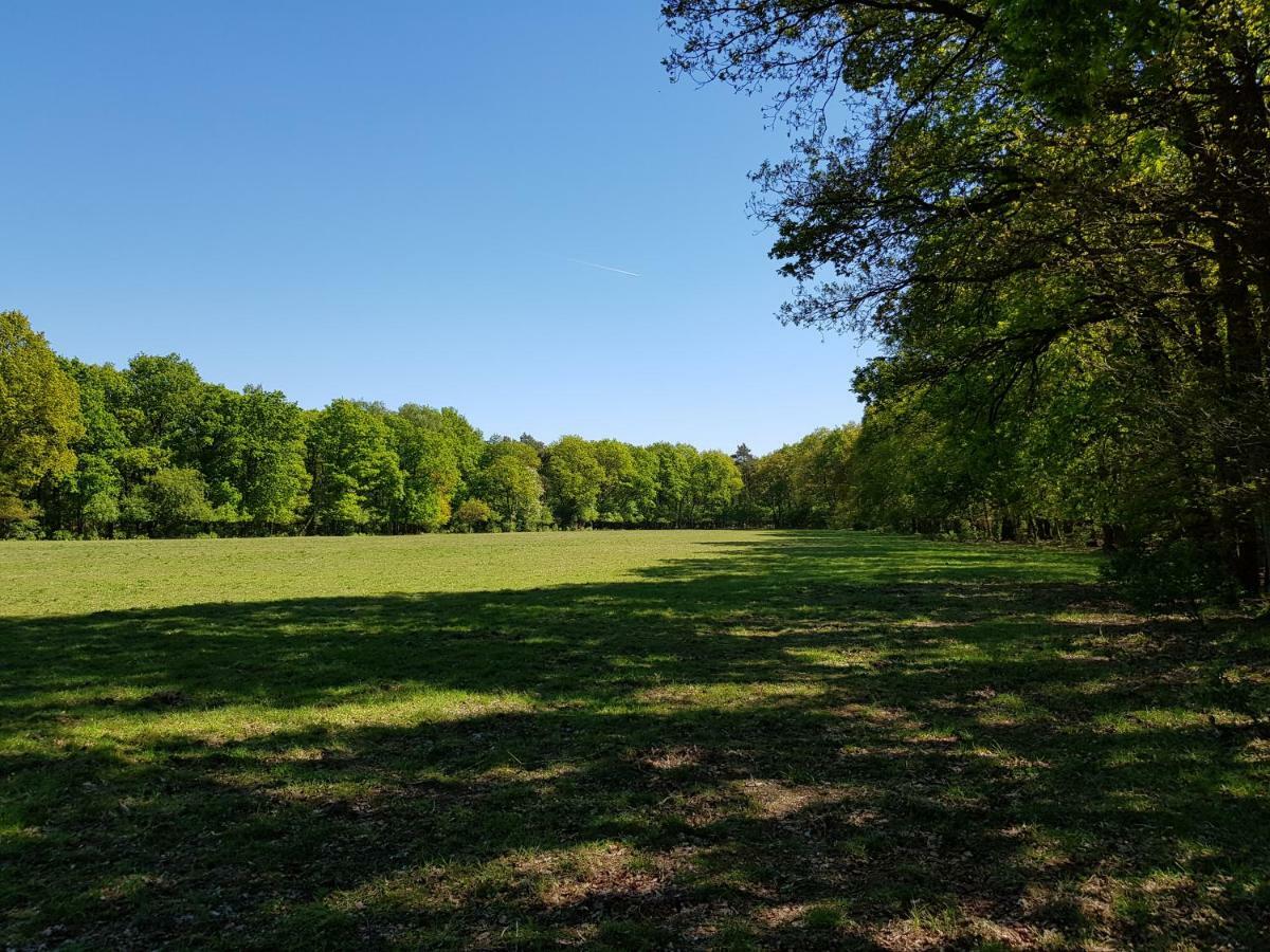 Knusse Bungalow Otterlo Veluwe Buitenkant foto
