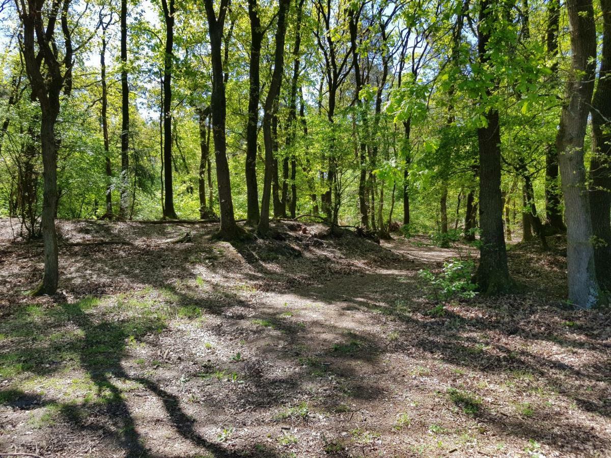 Knusse Bungalow Otterlo Veluwe Buitenkant foto